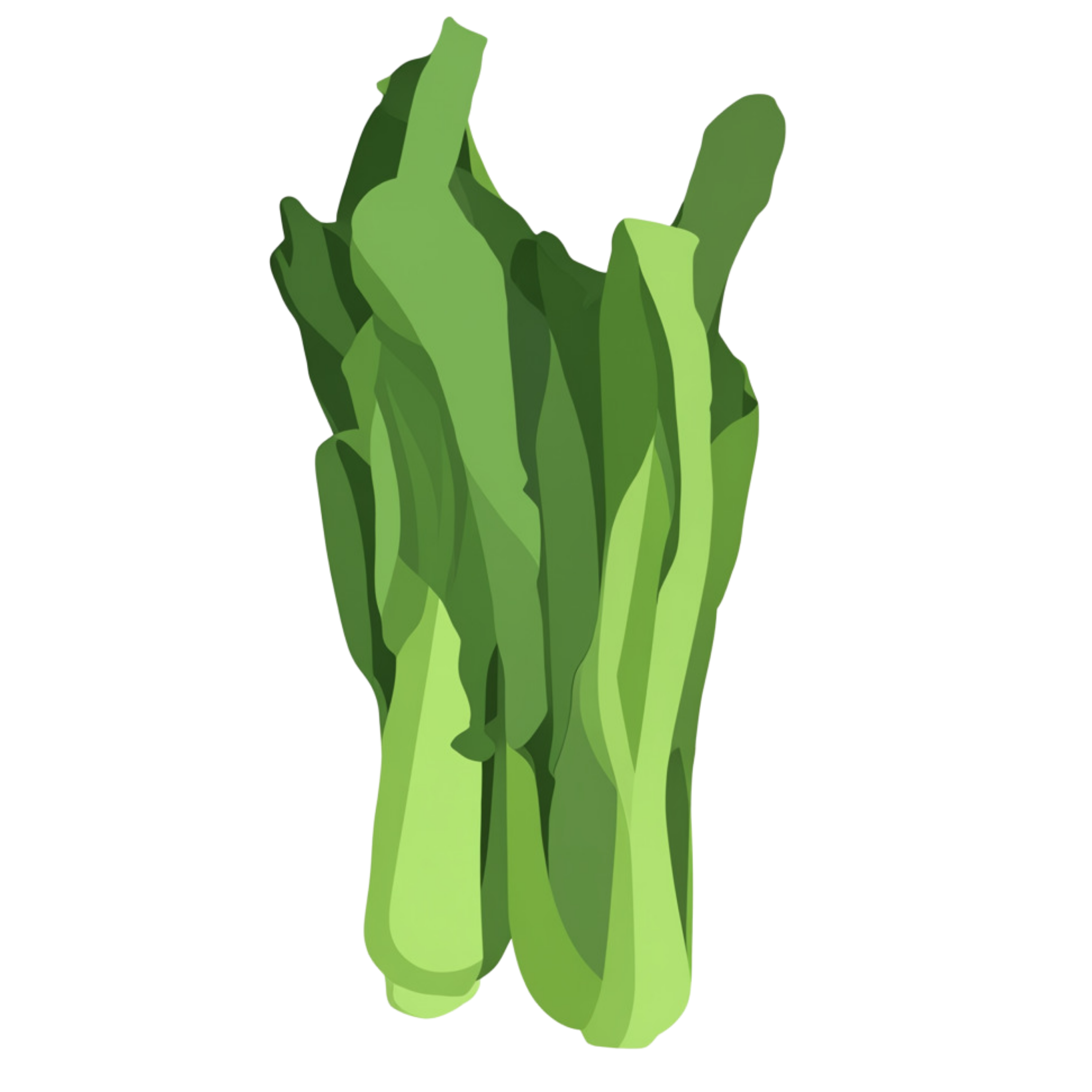 Pakcoy